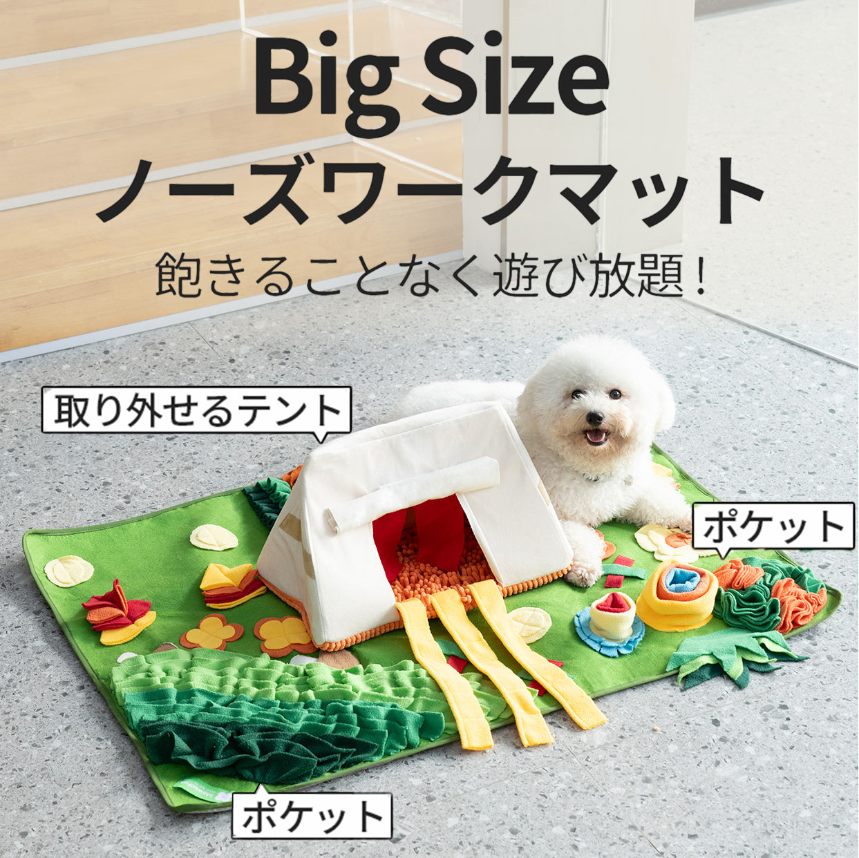 即納】ノーズワーク＊グランピングリゾート - 愛犬へのプレゼントなら
