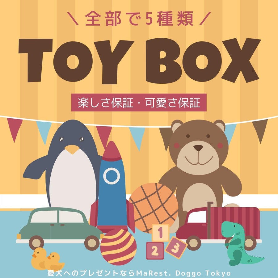 【数量限定】おもちゃBOX大作戦 - 愛犬へのプレゼントなら、MaRest. Doggo Tokyo/マレスト. ドーゴ トウキョウ