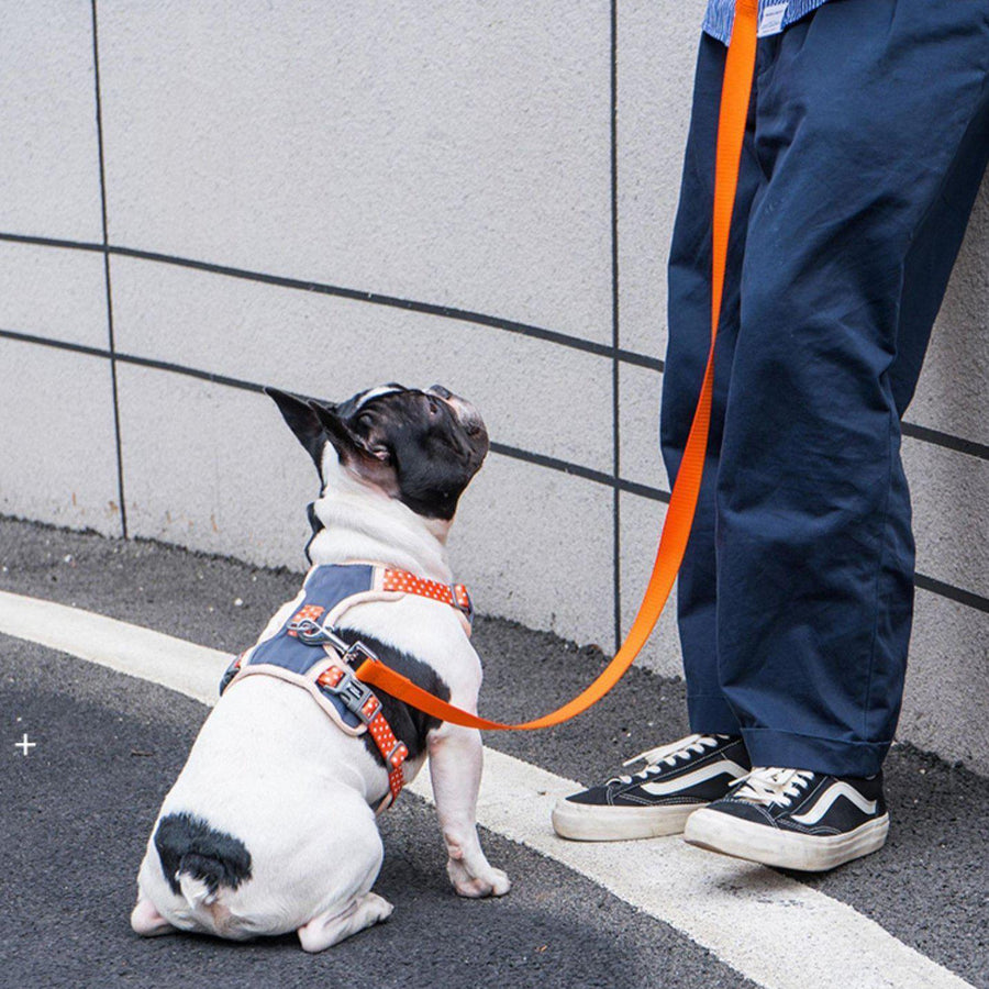 【即納】反射テープ付きハーネス - 愛犬へのプレゼントなら、MaRest. Doggo Tokyo/マレスト. ドーゴ トウキョウ