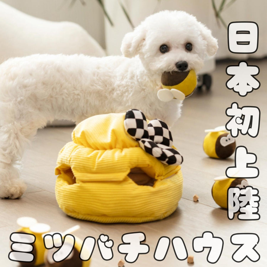 【即納】ノーズワーク＊ミツバチハウス - 愛犬へのプレゼントなら、MaRest. Doggo Tokyo/マレスト. ドーゴ トウキョウ