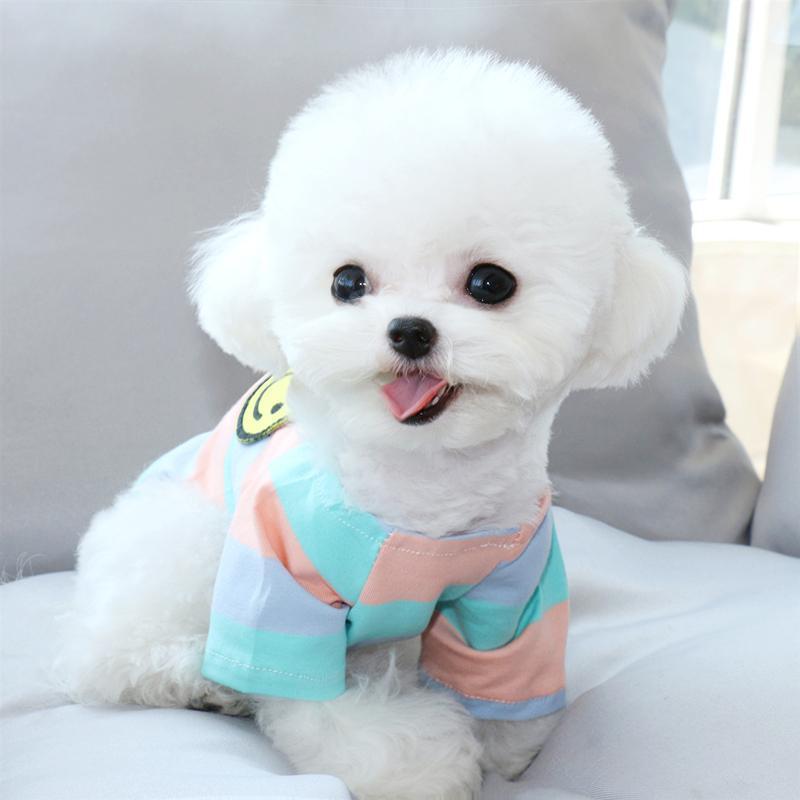 【即納】Big Smile＊ポップカラーTシャツ - 愛犬へのプレゼントなら、MaRest. Doggo Tokyo/マレスト. ドーゴ トウキョウ