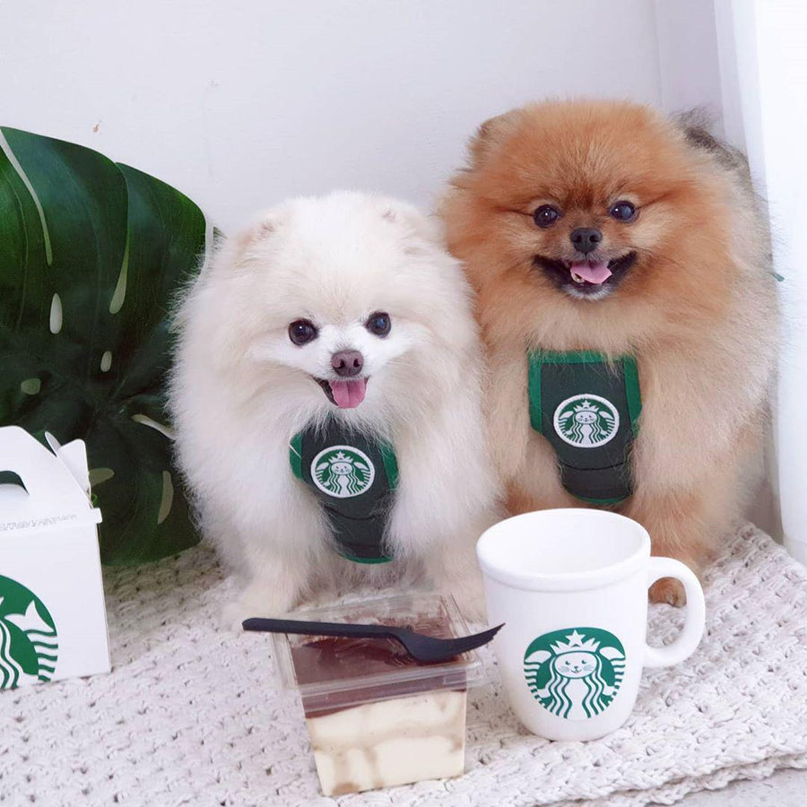 【即納】バリスタCafeエプロン - 愛犬へのプレゼントなら、MaRest. Doggo Tokyo/マレスト. ドーゴ トウキョウ