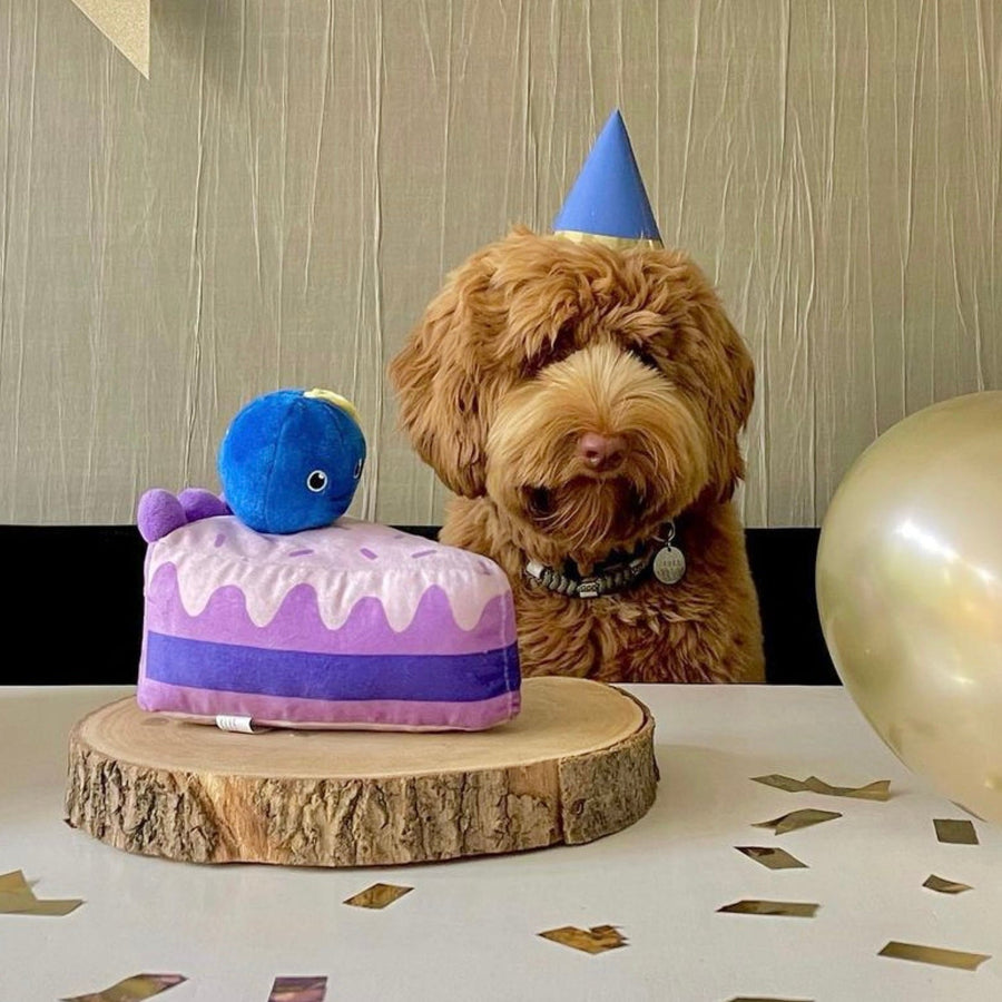 【即納】ブルーベリーケーキ - 愛犬へのプレゼントなら、MaRest. Doggo Tokyo/マレスト. ドーゴ トウキョウ