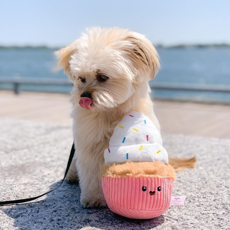 【即納】カップケーキ - 愛犬へのプレゼントなら、MaRest. Doggo Tokyo/マレスト. ドーゴ トウキョウ