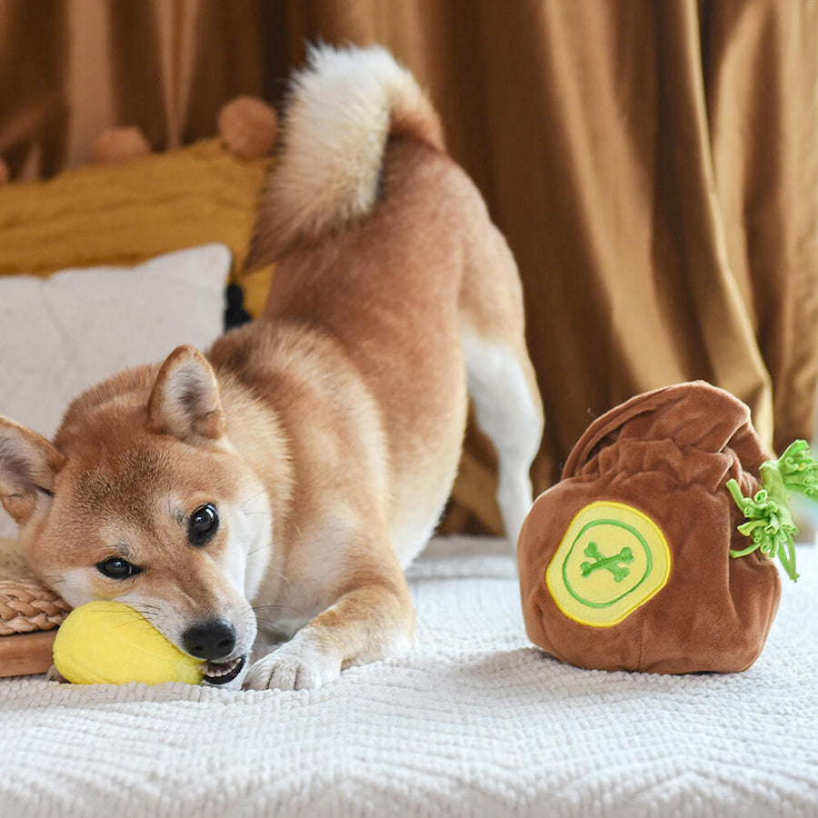 【即納】ノーズワーク＊秘密の財宝 - 愛犬へのプレゼントなら、MaRest. Doggo Tokyo/マレスト. ドーゴ トウキョウ