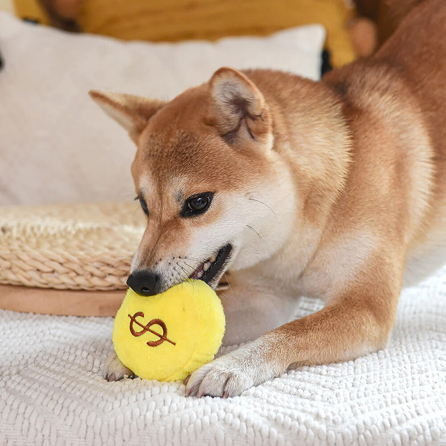 【即納】ノーズワーク＊秘密の財宝 - 愛犬へのプレゼントなら、MaRest. Doggo Tokyo/マレスト. ドーゴ トウキョウ