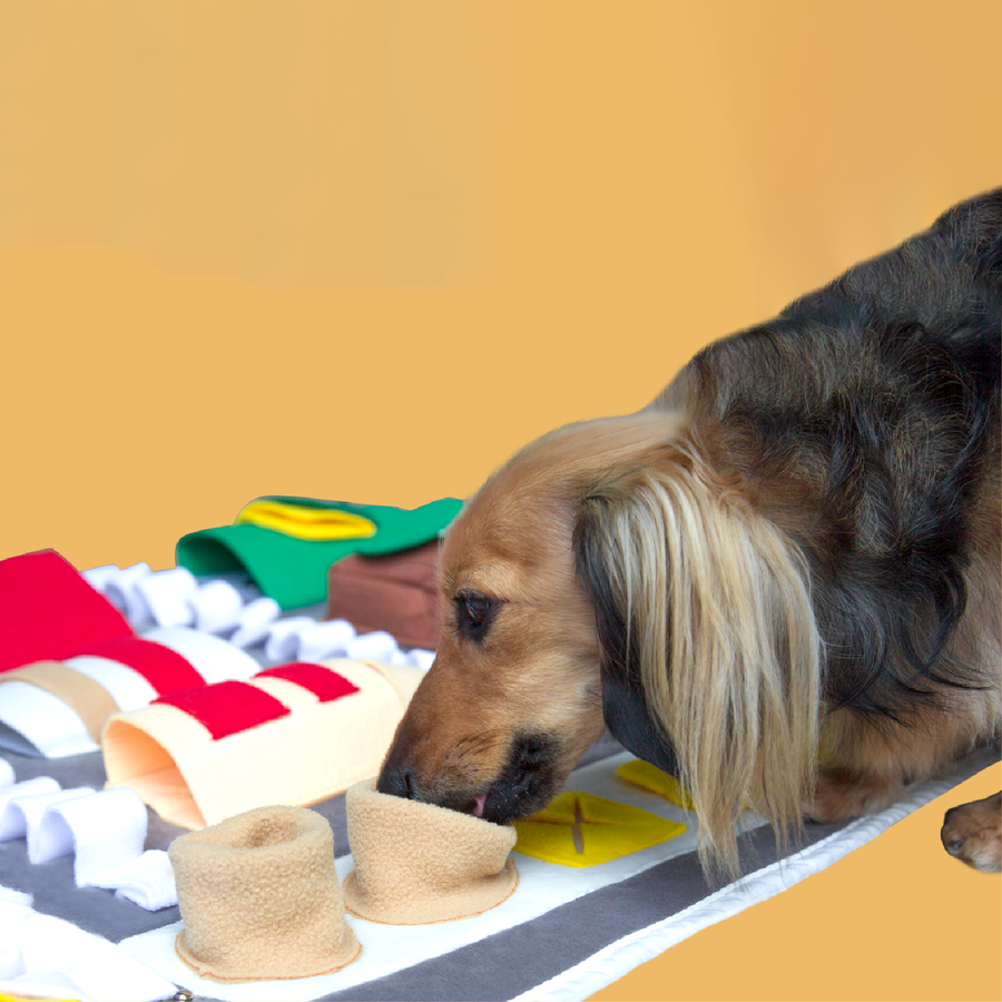 【即納】ノーズワーク＊自動販売機 - 愛犬へのプレゼントなら、MaRest. Doggo Tokyo/マレスト. ドーゴ トウキョウ