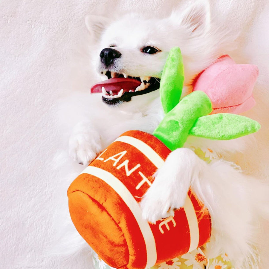 【即納】ノーズワーク＊チューリップ - 愛犬へのプレゼントなら、MaRest. Doggo Tokyo/マレスト. ドーゴ トウキョウ