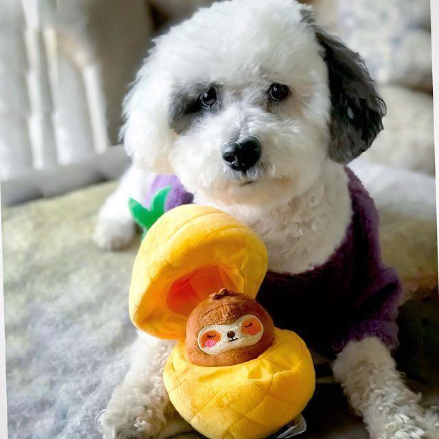 【即納】ノーズワーク＊フルーティーアニマル（パイナップル） - 愛犬へのプレゼントなら、MaRest. Doggo Tokyo/マレスト. ドーゴ トウキョウ