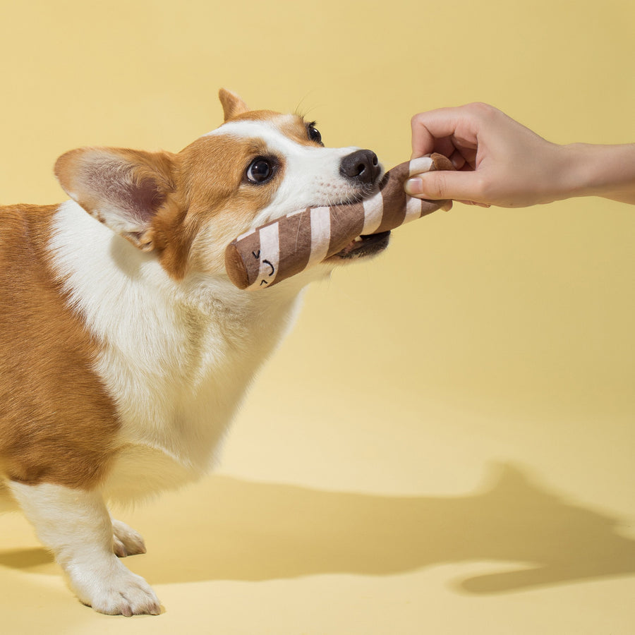 【即納】【在庫限り】ノーズワーク＊クッキーBOX - 愛犬へのプレゼントなら、MaRest. Doggo Tokyo/マレスト. ドーゴ トウキョウ