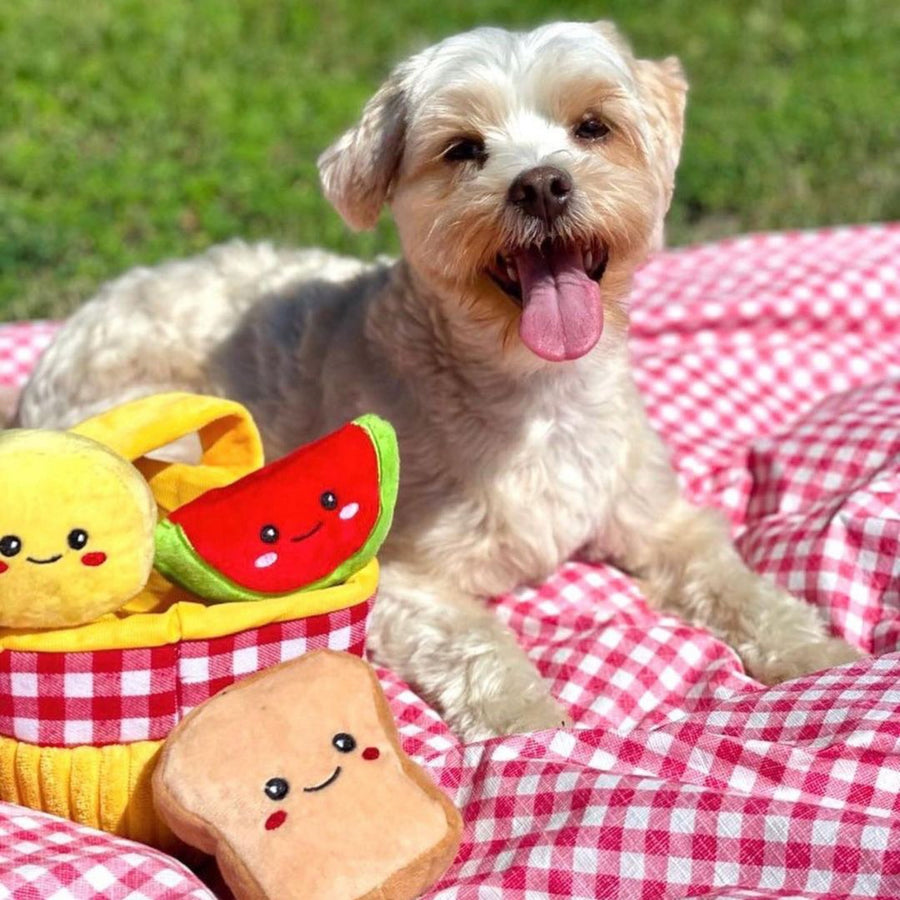 【即納】ノーズワーク＊ピクニックセット - 愛犬へのプレゼントなら、MaRest. Doggo Tokyo/マレスト. ドーゴ トウキョウ