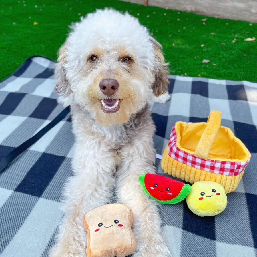 【即納】ノーズワーク＊ピクニックセット - 愛犬へのプレゼントなら、MaRest. Doggo Tokyo/マレスト. ドーゴ トウキョウ