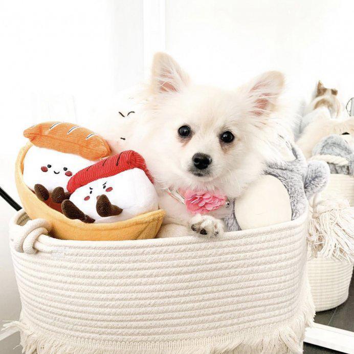 【即納】お寿司三貫盛り - 愛犬へのプレゼントなら、MaRest. Doggo Tokyo/マレスト. ドーゴ トウキョウ