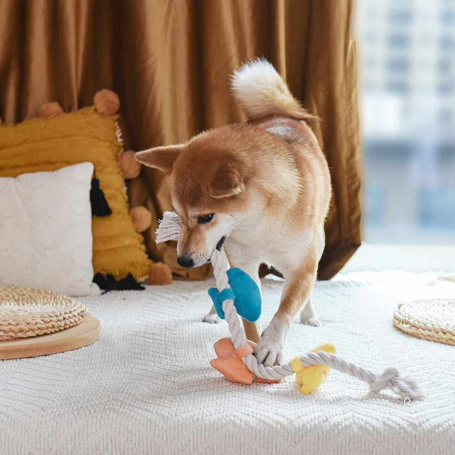 【即納】シェルネックレス - 愛犬へのプレゼントなら、MaRest. Doggo Tokyo/マレスト. ドーゴ トウキョウ