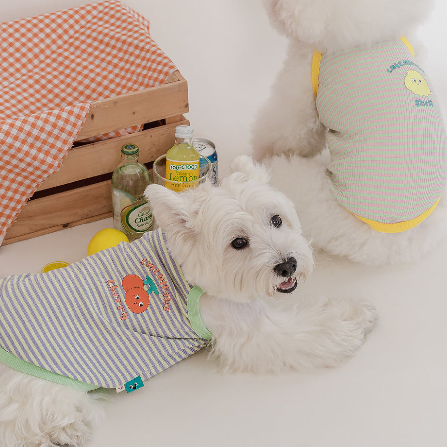 SummerColorボーダーキャミソール - 愛犬へのプレゼントなら、MaRest. Doggo Tokyo/マレスト. ドーゴ トウキョウ
