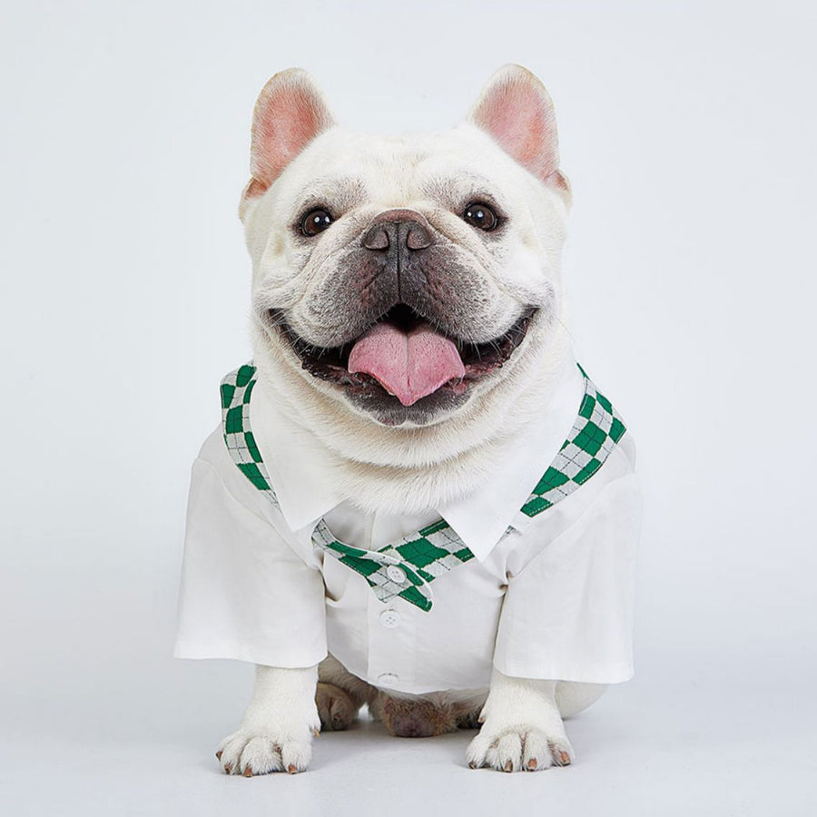 肩掛けカーディガン風シャツ - 愛犬へのプレゼントなら、MaRest. Doggo Tokyo/マレスト. ドーゴ トウキョウ