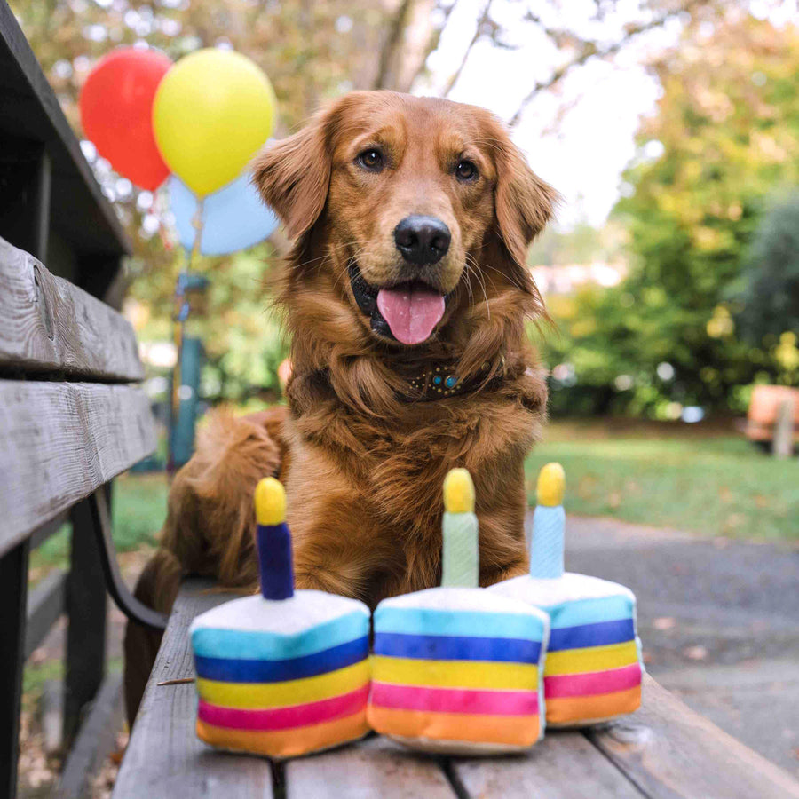 【P.L.A.Y.】パーティーケーキ - 愛犬へのプレゼントなら、MaRest. Doggo Tokyo/マレスト. ドーゴ トウキョウ