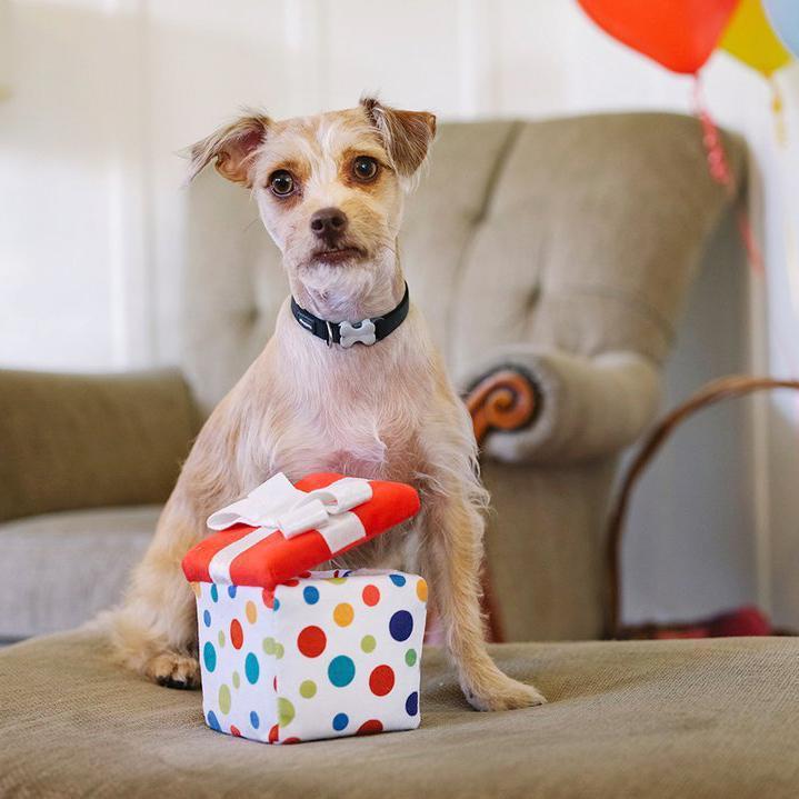 【P.L.A.Y.】パーティープレゼント - 愛犬へのプレゼントなら、MaRest. Doggo Tokyo/マレスト. ドーゴ トウキョウ