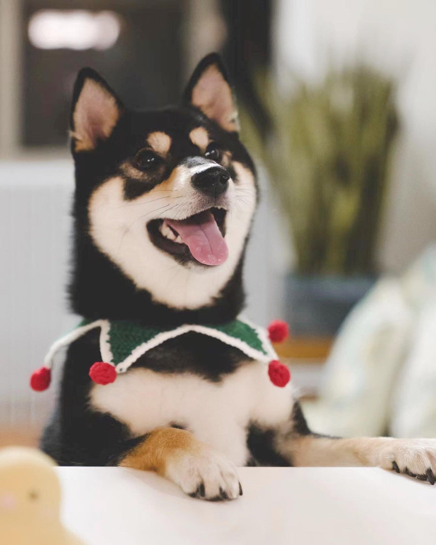 全20種Xmas手編みアクセサリー - 愛犬へのプレゼントなら、MaRest. Doggo Tokyo/マレスト. ドーゴ トウキョウ
