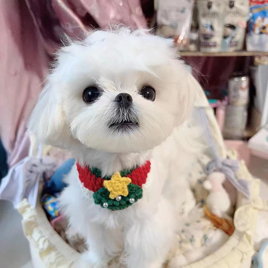 全20種Xmas手編みアクセサリー - 愛犬へのプレゼントなら、MaRest. Doggo Tokyo/マレスト. ドーゴ トウキョウ