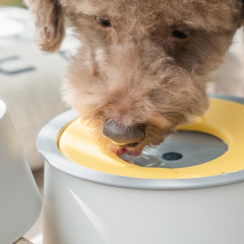 【Yogi】Water Bowl - 愛犬へのプレゼントなら、MaRest. Doggo Tokyo/マレスト. ドーゴ トウキョウ