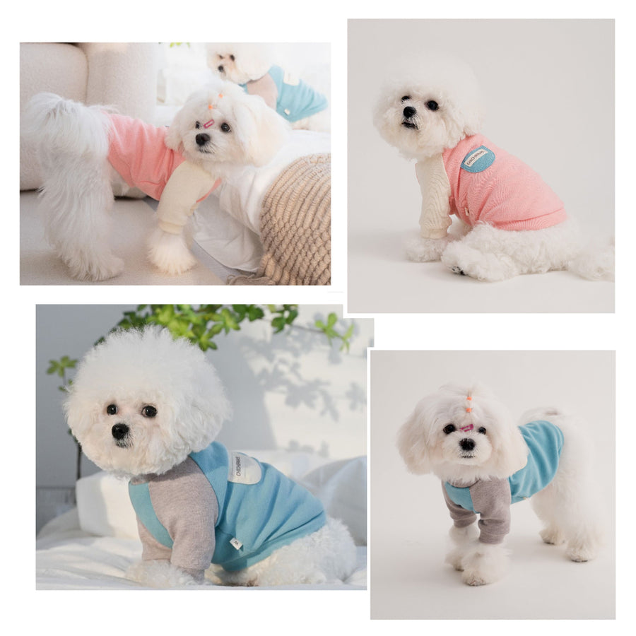 パステルバイカラーTシャツ - 愛犬へのプレゼントなら、MaRest. Doggo Tokyo/マレスト. ドーゴ トウキョウ