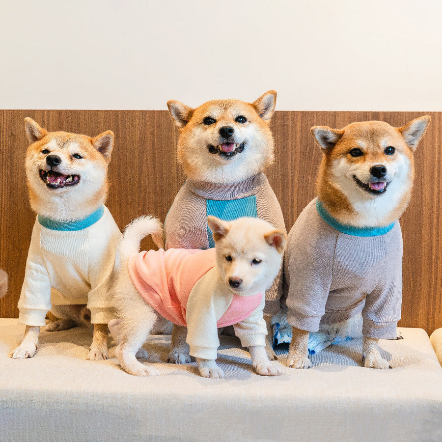 パステルバイカラーTシャツ - 愛犬へのプレゼントなら、MaRest. Doggo Tokyo/マレスト. ドーゴ トウキョウ