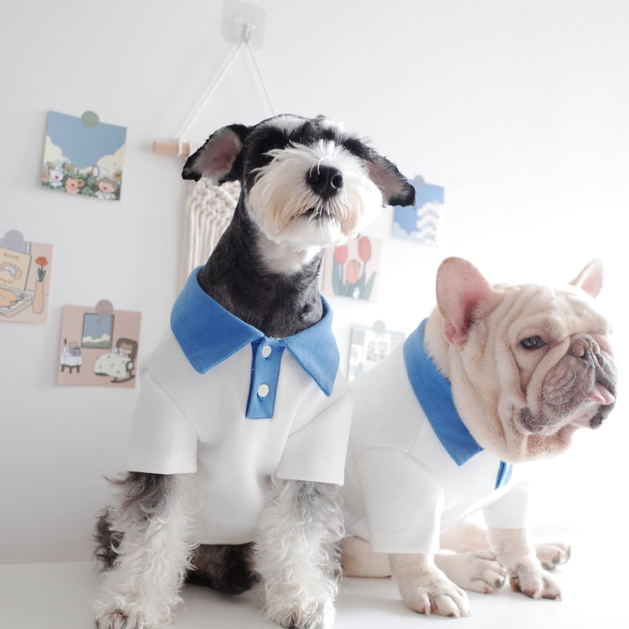 ゆったりサイズ＊マリンPOLOシャツ - 愛犬へのプレゼントなら、MaRest. Doggo Tokyo/マレスト. ドーゴ トウキョウ