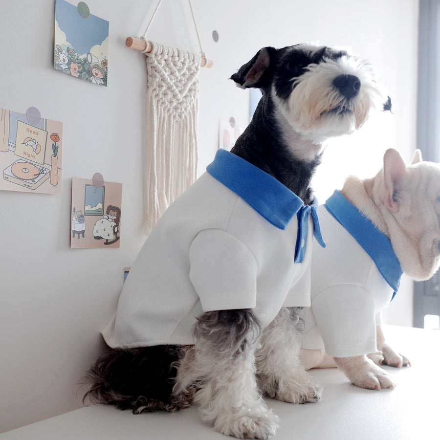 ゆったりサイズ＊マリンPOLOシャツ - 愛犬へのプレゼントなら、MaRest. Doggo Tokyo/マレスト. ドーゴ トウキョウ